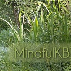 Acceptans av tankar och känslor