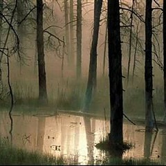 (Riding through the) Swamps of Sadness