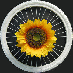 mohandas_"pernas para andar"