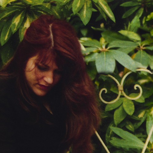 The Wild Swans at Coole (preview)