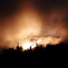 OV3L - Chrysanthemums [Back to the City/Shrooms Instrumental]