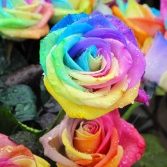 Baranohana2011(livetrack)