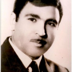 Davod Maghami-Morghe Sheyda