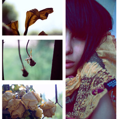 Diana Payton - hush то e (Subheim)