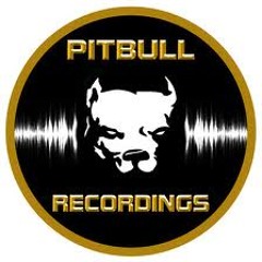 Wisdom + Grace [Pitbull Recordings]