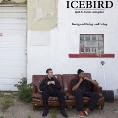 Icebird (RJD2 & Aaron Livingston)- Going And Going And Going (Illvibe Collective Remix)