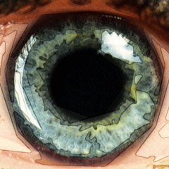 clint mansell feat. the kronos quartet - requiem for a dream (loose body parts remix)