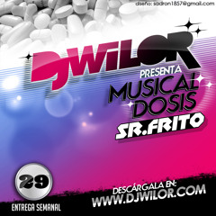 Musical Dosis #29 - DUBSTEP Special with SR.FRITO (Portugal)
