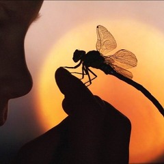 DΞCIβΞL <Dragonfly tech> (mixdown)