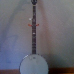 Colorful aristrocacy