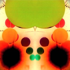 Crazy ( ge weet niet waaraan je begint- you don't know what you're getting yourself into) )