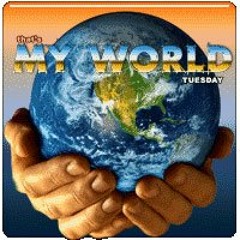 Fat Flow Beat's - My World (Instrumental)