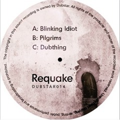 Pilgrims [Out now on Dubstar]