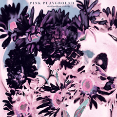 Pink Playground - Dark Bloom