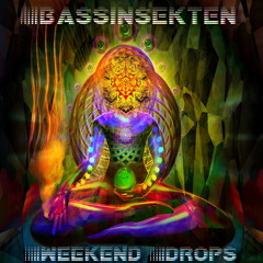 BassInsekten - Weekend Drops (DJ Set) ~ 2011