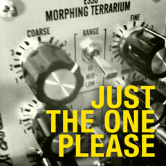 Just the One Please - E350