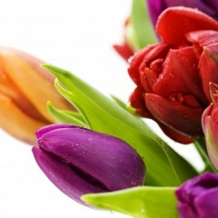 ไ ม่ เ สี ย ด า ย ที่ ไ ด้ รั ก เ ธ อ