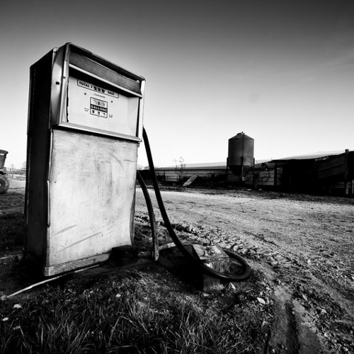 Desert Rose (back in Nam)