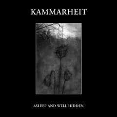 Kammarheit - The Poignant
