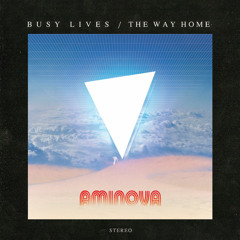 AMINOVA - The Way Home (Embryonik Remix)-FREE DL on bandcamp