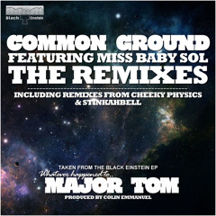 01Black Einstein - Common Ground (Stinkabell Remix)