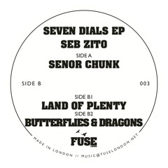 Butterflies & Dragons