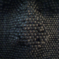 Pussy Bottom: Pussy Bottom