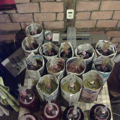 18 Gallons - Happy Kitchen