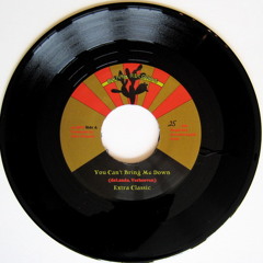 You Can't Bring Me Down (Nopal Records 45 single)