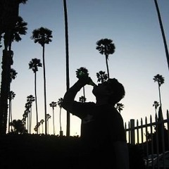 Lloyd Feat sKarm and Liquid - What we Say (Never Delay)