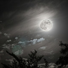 Whereisthemoon