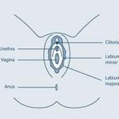 My clit is bigger than your Dick