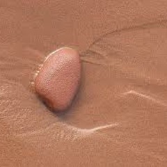 Take some time (finished) Available to buy soon!