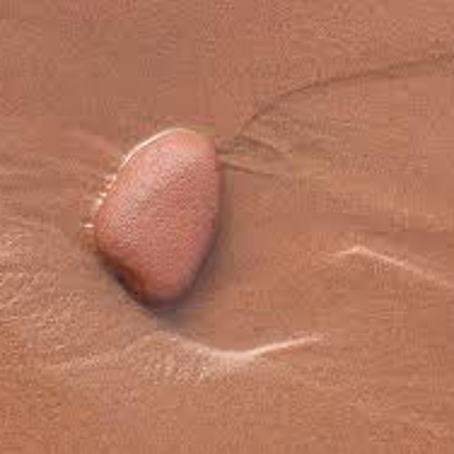 Take some time (finished) Available to buy soon!