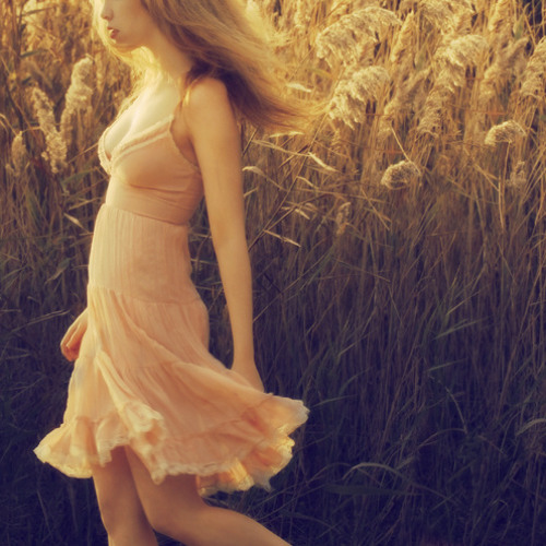 Beauty is Fleeting