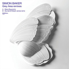 Simon Baker - Gray Area - Steve Bug rmx teaser