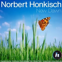 Norbert Honkisch - Daydreaming