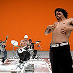 Red Hot Chilli Peppers - Can't Stop(Joris PK Party Crasher)