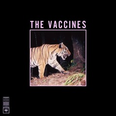 Tiger Blood - The Vaccines