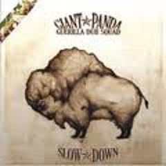 Giant Panda Guerilla Dub Squad "Missing You More"