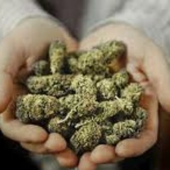 Dan-I-Locks - Herb for the service of man