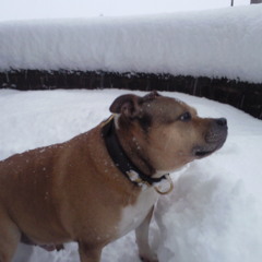 Tainted Love (Tainted Dub Mix)