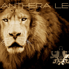 MMZ - Panthera Leo (2011 Promo)