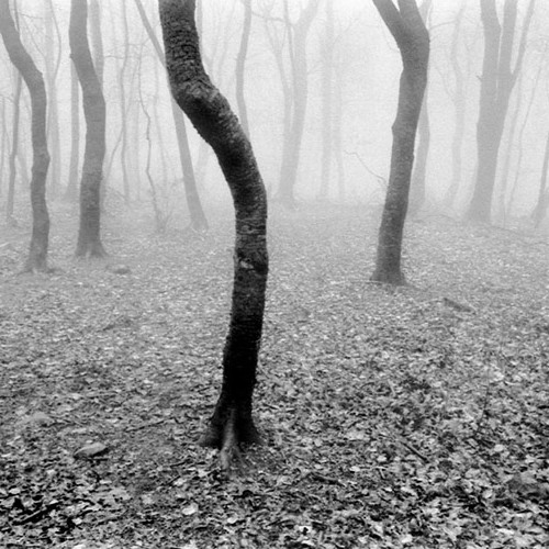 Richard Szabo - unfold