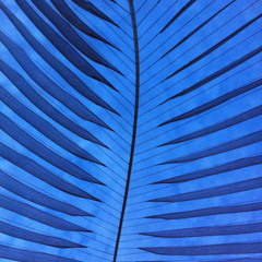 Spinfinite House Musique 3