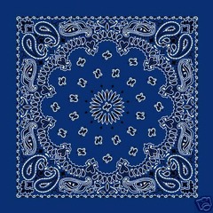 Pledge Allegiance To The Flag