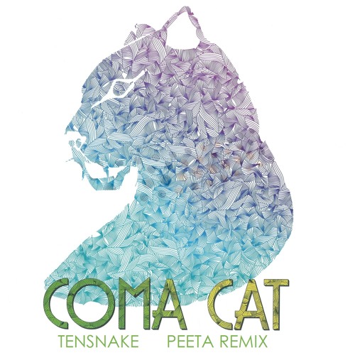 Tensnake - Coma Cat (Peeta Remix)