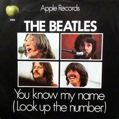 You Know My Name (Look Up The Number)