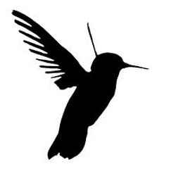 Fly away (with the hummingbass)