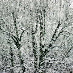 Chill Turns To Cold Edit